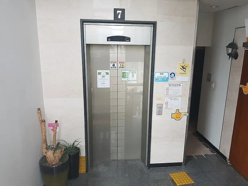 ג'גו Hostel Lyndon